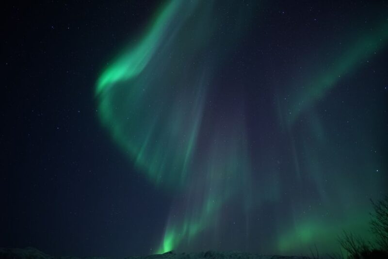 From Tromsø: Northern Lights Chase by Boat - Contact Information and Support