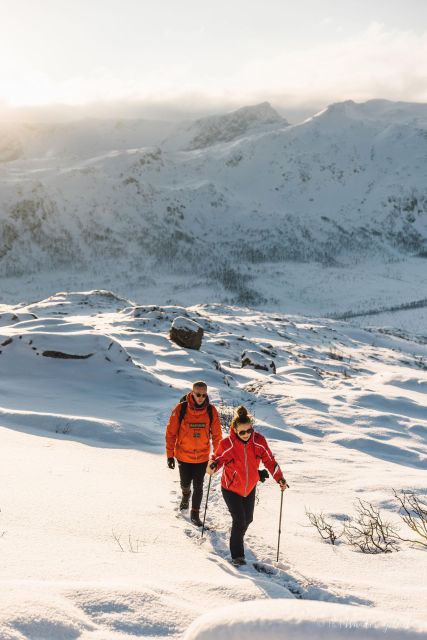 From Tromsø: Snowshoeing Hike With Picnic Lunch and Photos - Inclusions and Exclusions