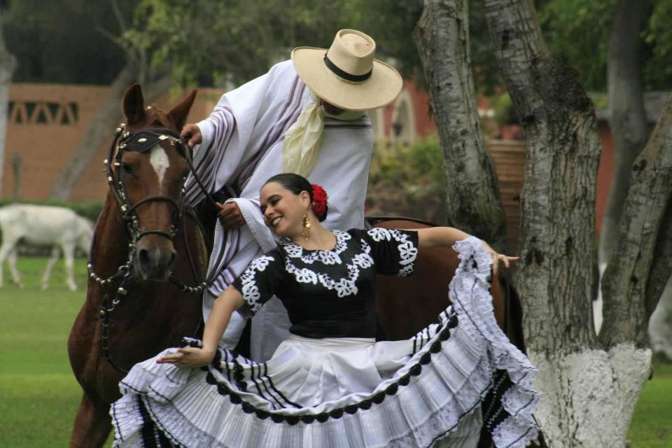 From Trujillo | Marinera Show With Peruvian Paso Horses - Show Highlights