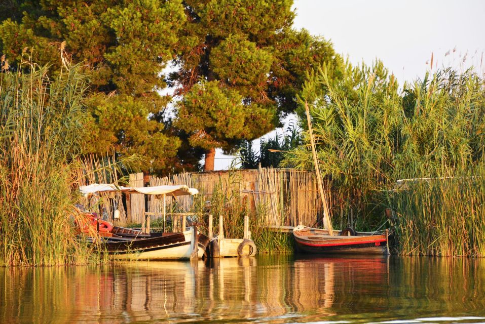 From Valencia: Albufera Natural Park With Sunset Boat Tour - Highlights of the Tour