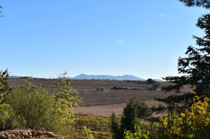 From Valencia: Guided Cheese Factory Tour With Wine Tasting - Winery Experience