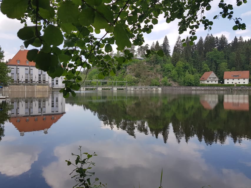 From Viechtach: Regen River Canoe Tour to Höllenstein Lake - River Landscape and Bayerisch Kanada