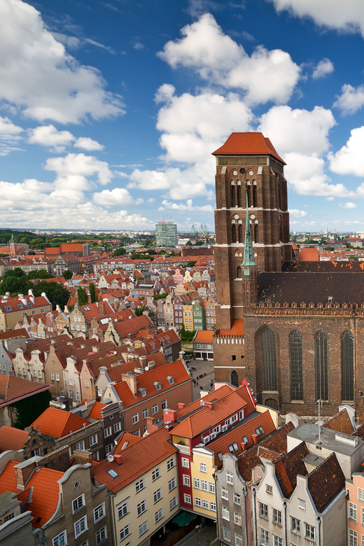 From Warsaw: One Day Private Tour to Gdansk and Sopot - Accessibility Features