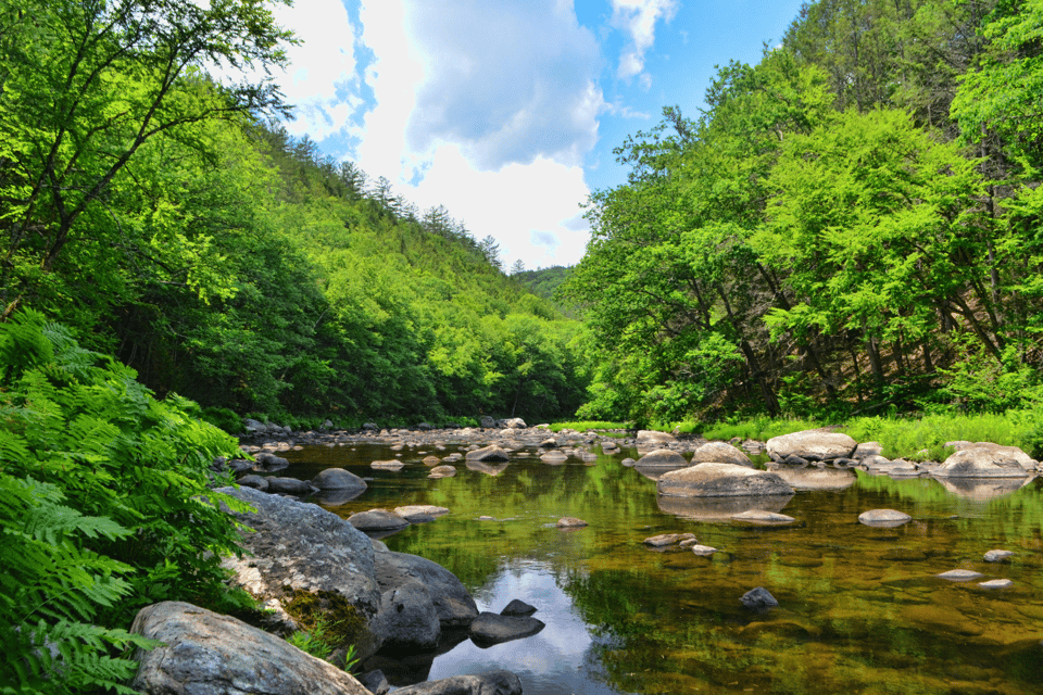 From Wilmington: Scenic Vermont Route 100 Self-Drive Tour - Customer Feedback