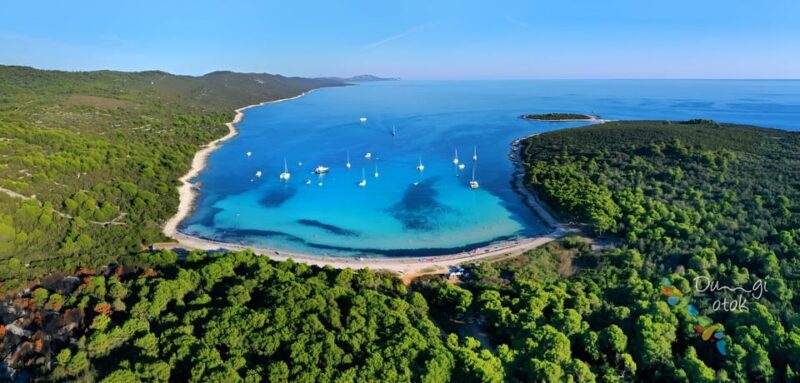 From Zadar: Sakarun Beach Private Speed Boat Tour - Sunken Ship Exploration