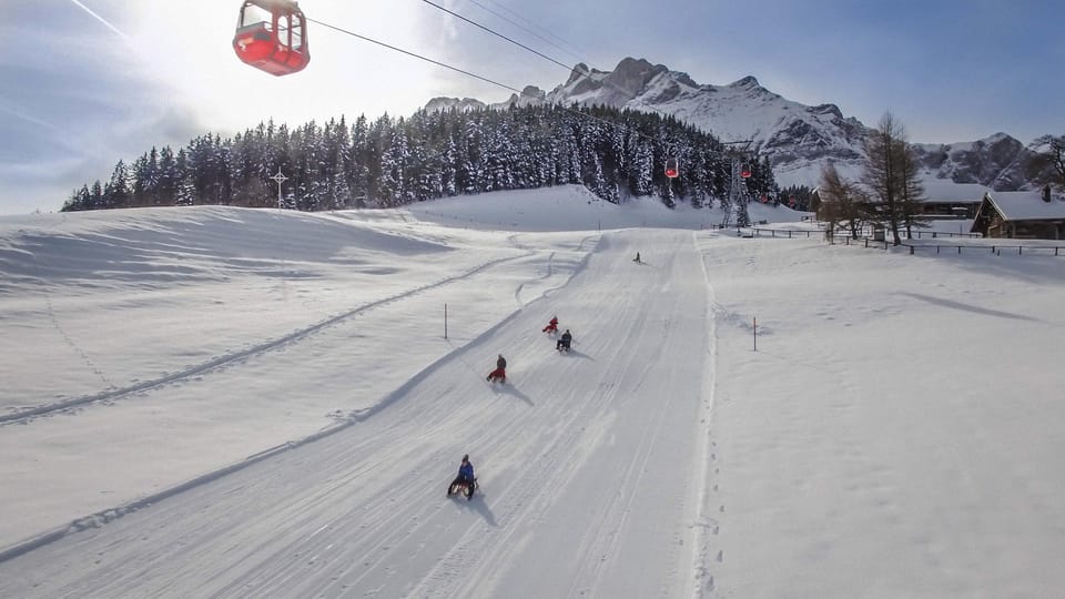 From Zurich: Mount Pilatus Day Trip With Gondola and Cruise - Important Information