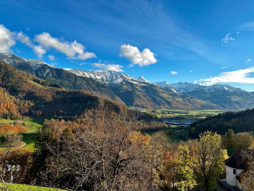 From Zurich: Private Day Trip to Gruyères & Lavaux Vineyard - Inclusions and Amenities