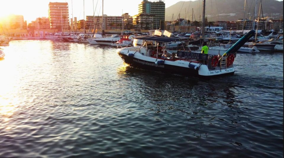 Fuengirola: Fantastic Dolphin Watching Yacht Tour - Meeting Point and Pickup