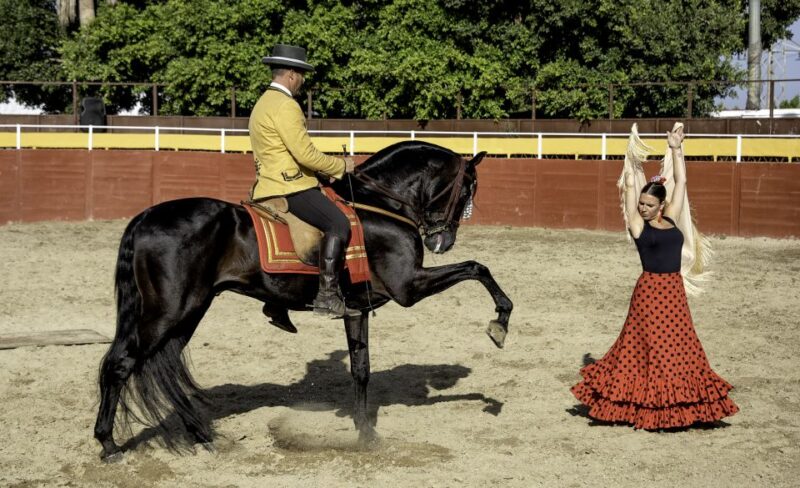 Fuengirola: Spanish Horse Show With Optional Dinner/Flamenco - Dinner and Flamenco Performance