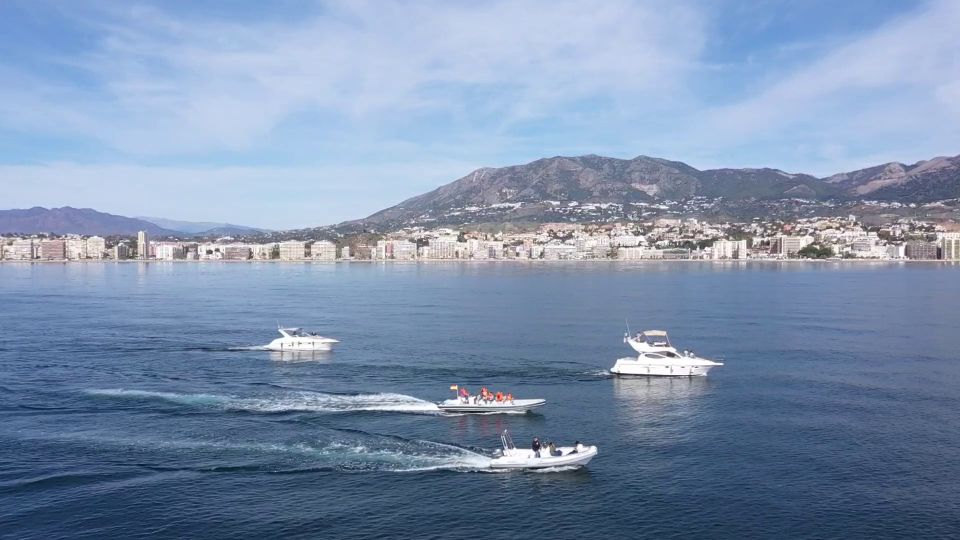 Fuengirola: Speedboat & Encounter Dolphins - Group Size & Languages