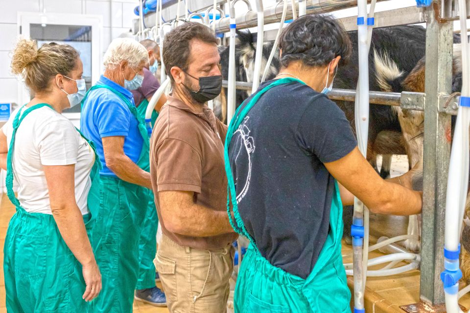 Fuerteventura: Artisan Goats Cheese Making at Local Farm - Authentic Breakfast