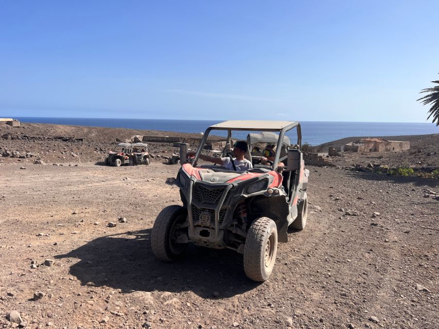 Fuerteventura: Buggy Tour in the South of the Island - Booking Information