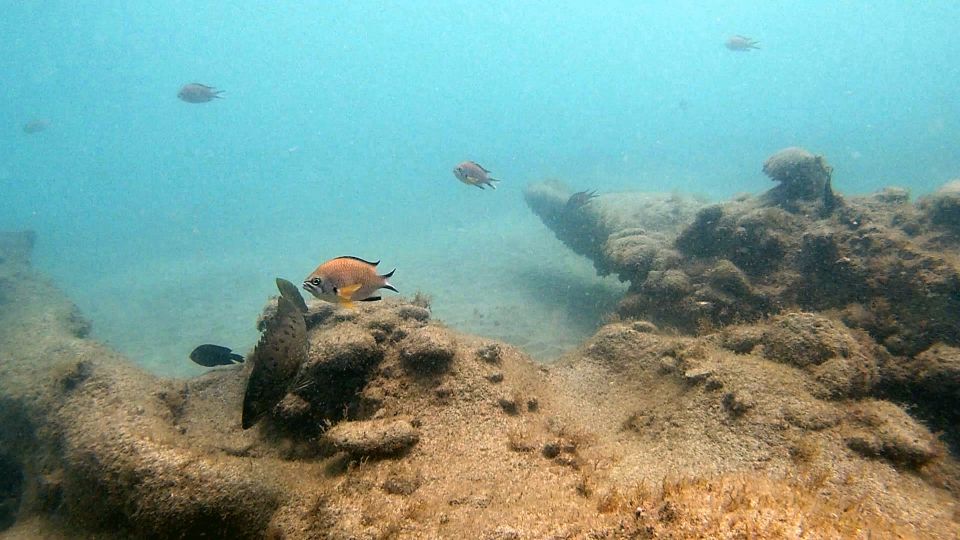 Fuerteventura : Discover Scuba Diving - Experience Details