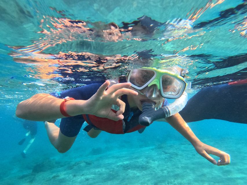 Fuerteventura: Guided Snorkeling in La Lajita With Pickup - Highlights of the Experience