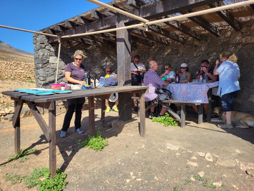 Fuerteventura: Guided Trekking Tour With Island Goats - Experience Highlights