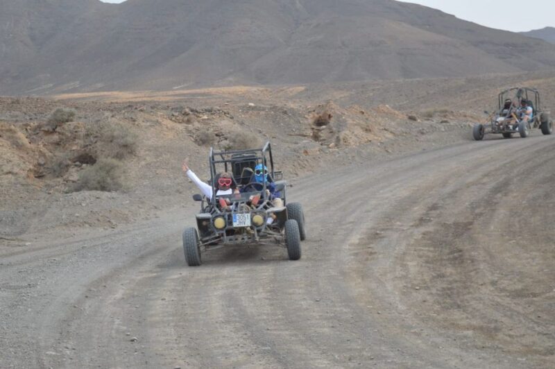 Fuerteventura: Jandía Natural Park & The Puertito Buggy Tour - Group Size and Accessibility