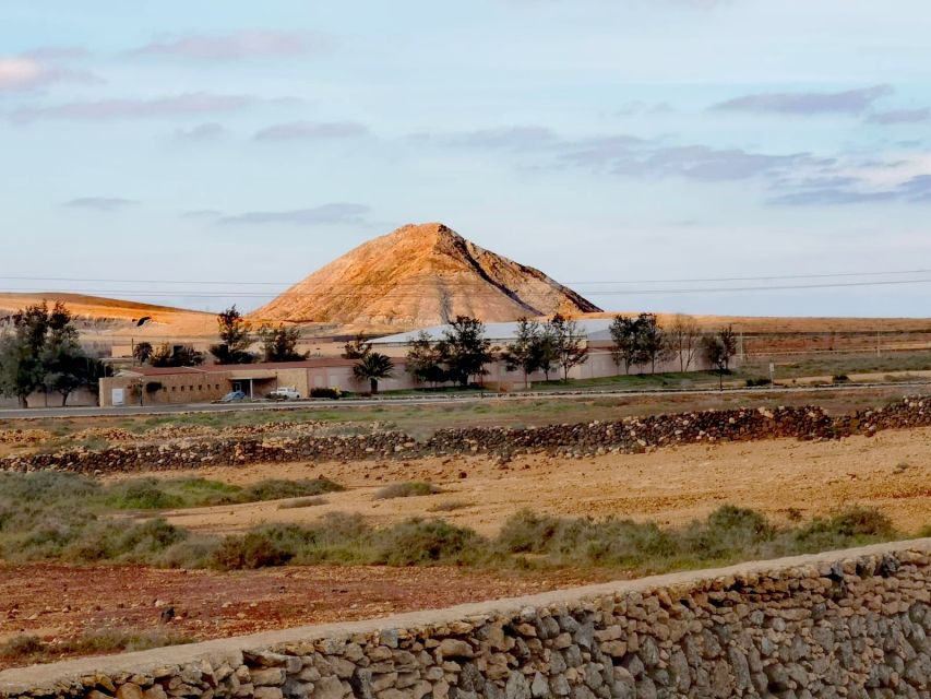 Fuerteventura: North of Fuerteventura for Cruise Passengers - Languages and Cancellation Policy