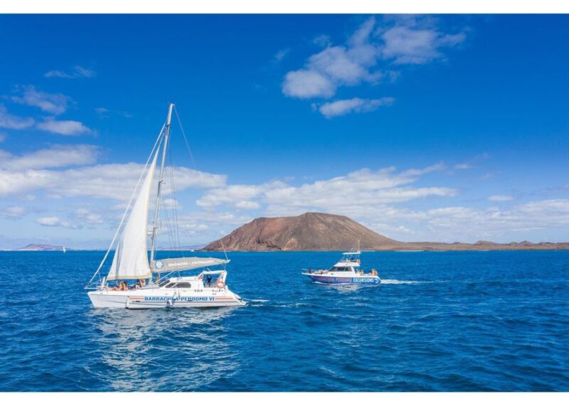 Fuerteventura: Whale & Dolphin Watching Boat Tour With Guide - Included Amenities
