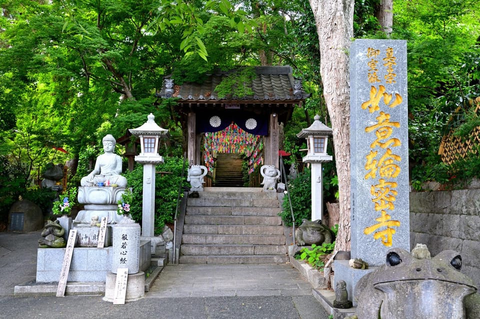 Fukuoka: Nyoirinji Frog Temple & Beppu & Yufuin One-Day Tour - Beppu Hot Springs