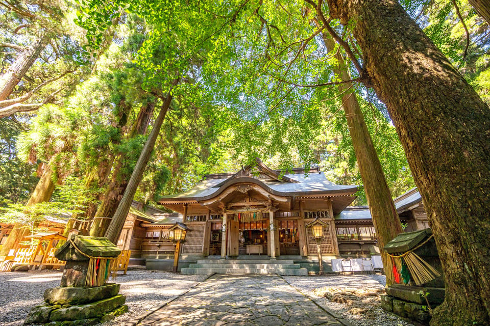 Fukuoka: Takachiho Gorge 1Day Private Tour - Important Tour Information