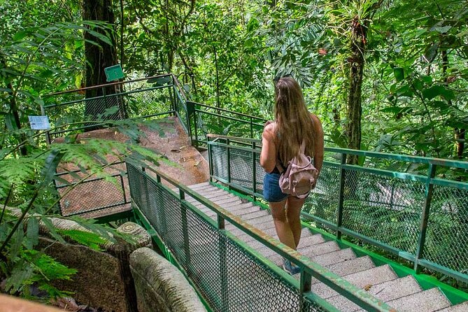 Full Combo! Hanging Bridges, Arenal Volcano, La Fortuna Waterfall - Majestic Arenal Volcano