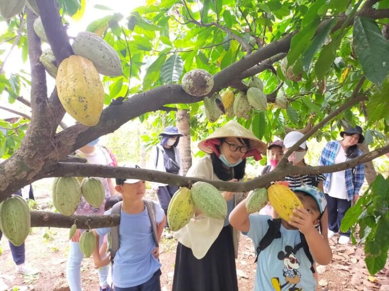 Full Day Experience to Farm and Chocolate - Cacao Farm and Chocolate Tour
