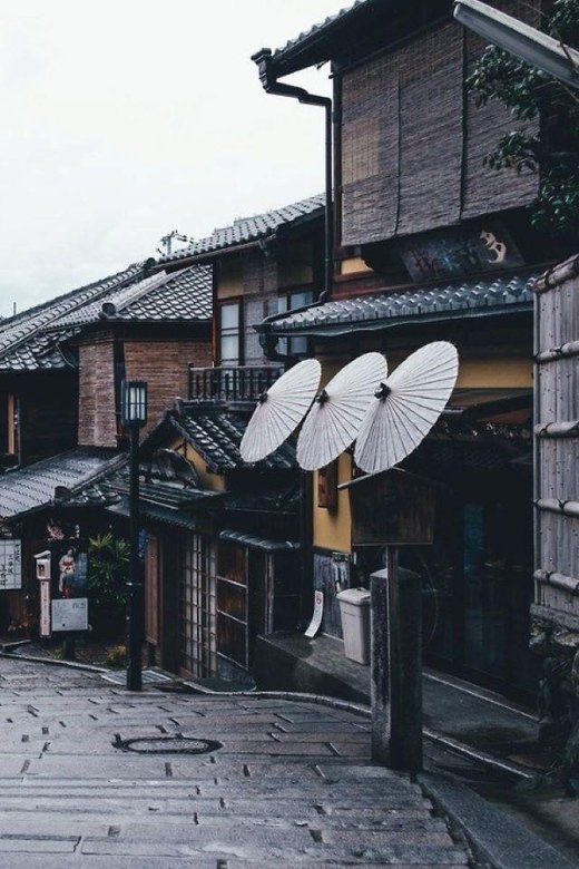 Full Day Guided Kyoto Cultural Tour - Important Information