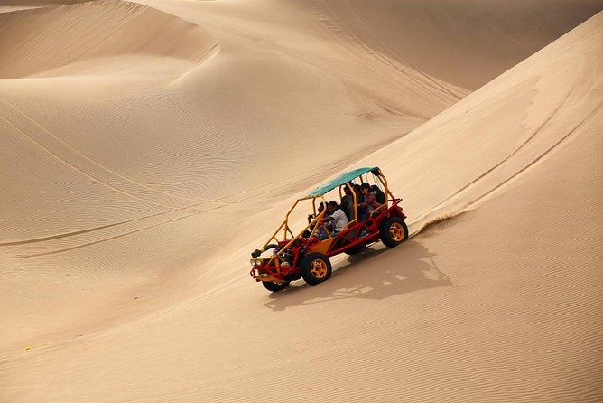 Full Day Paracas - Ica - Oasis Huacachina - Adventure Sports in Huacachina