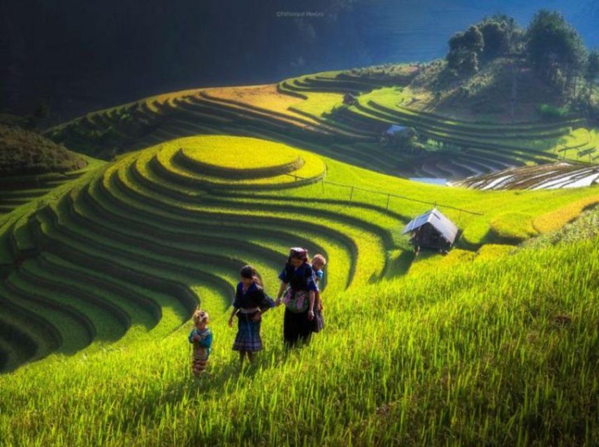 Full Day Tour in Sapa Trekking With Local Guide - Trekking Through Scenic Landscapes