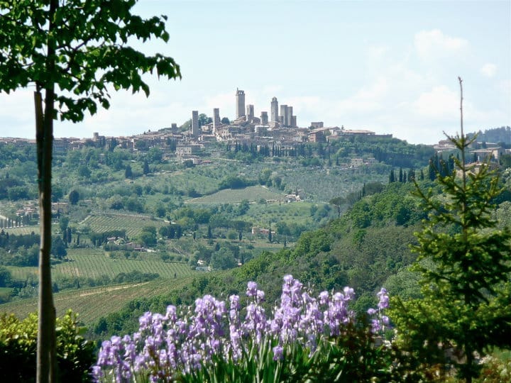 Full-Day Tour of Tuscany From Florence-Small Group up 8 Pax - Dietary Options Available