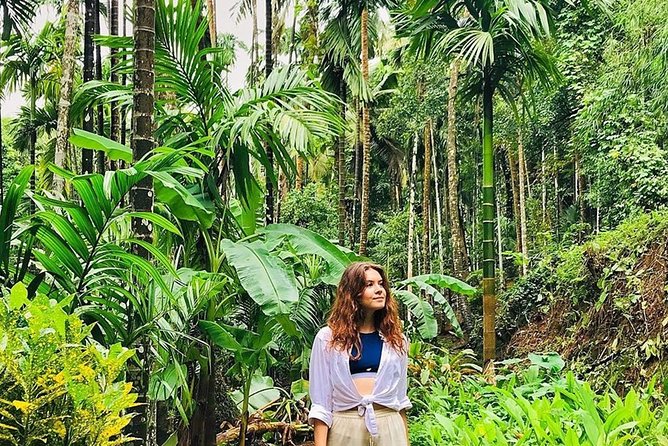 Full-Day Tour Old Goa Dudhsagar Falls and Spice Plantation - Important Tour Information