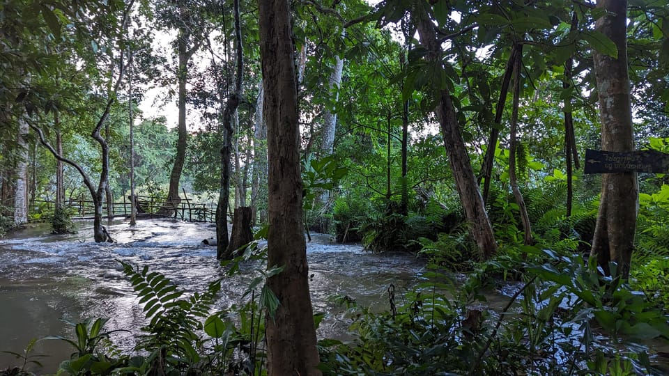 Full Day Trek to Kuang Si Waterfalls, Remote Village - Whats Included