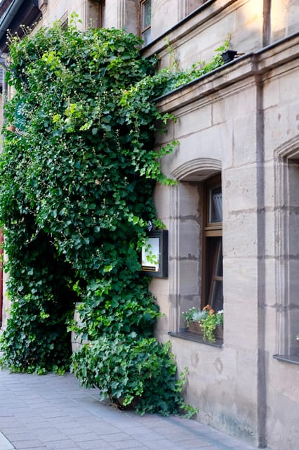 Fürth: Culinary and Historical Walking Tour - Important Information
