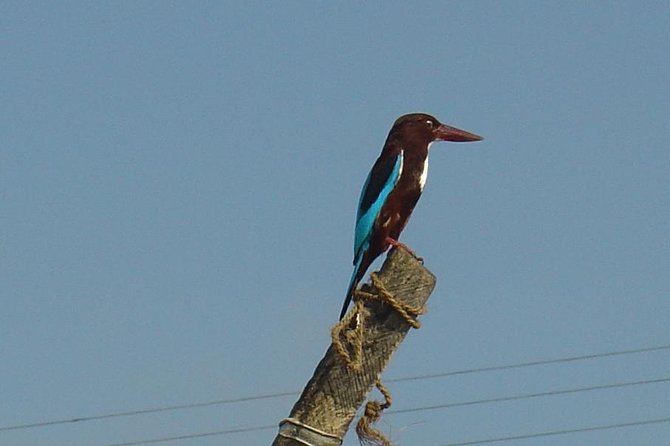 Galle Day Tour: Boat Safari, Stick Fishing & Turtles From Bentota - Historical Galle Fort