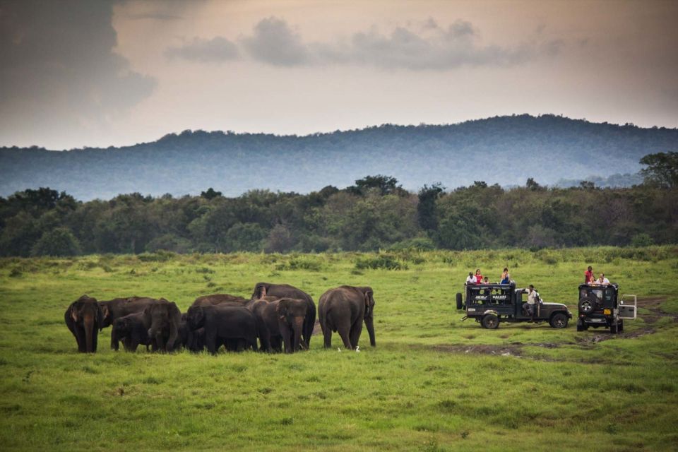 Galle/Unawatuna/Mirissa: Udawalawe Safari - Transportation Arrangements