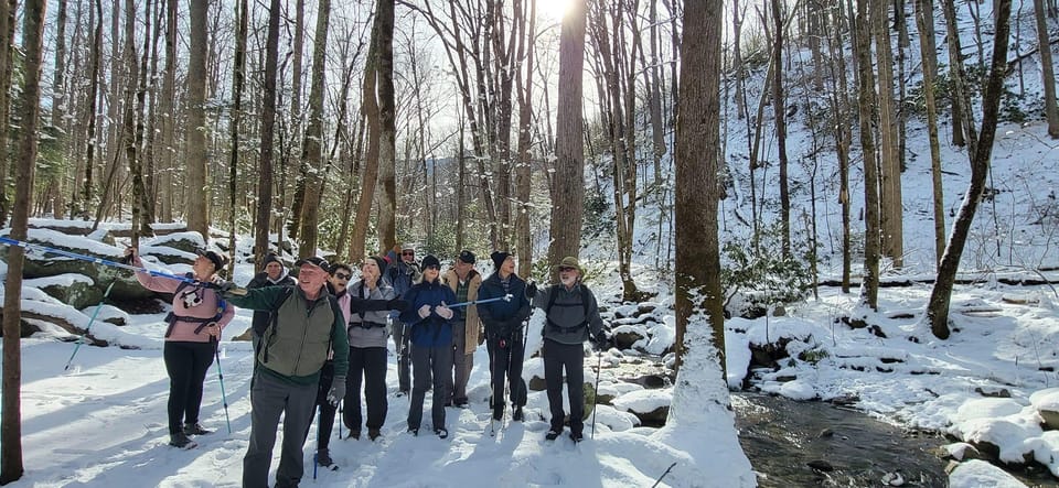 Gatlinburg: Great Smoky Mts National Park Waterfall Tour - Inclusions and Exclusions