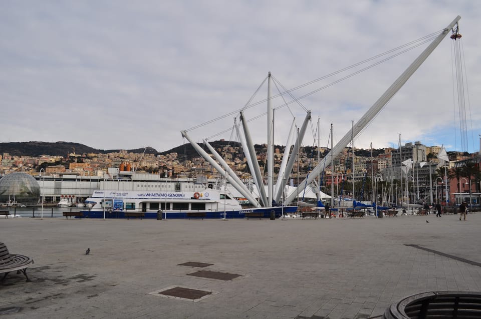 Genoa: Half-Day Tour to Portofino - Participant Suitability