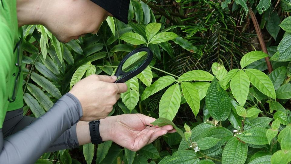 George Town: Penang Habitat Entry Ticket With Nature Trail - Visitor Operating Hours