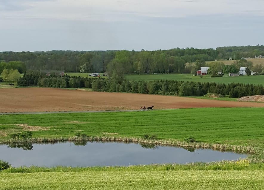 Gettysburg: Horse-Drawn Carriage Tour Countryside & Orchards - Group Size and Duration