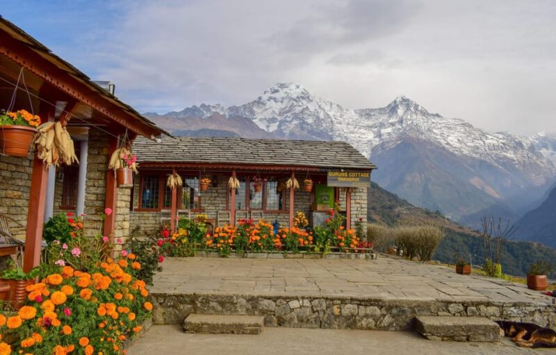 Ghorepani Poon Hill Trek - Important Preparation Tips