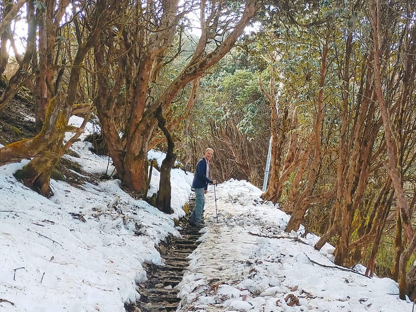 Ghorepani Poon Hill Trek - Best Time to Trek