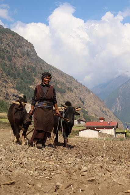 Ghorepani Poonhill Trek - Preparation and Essentials