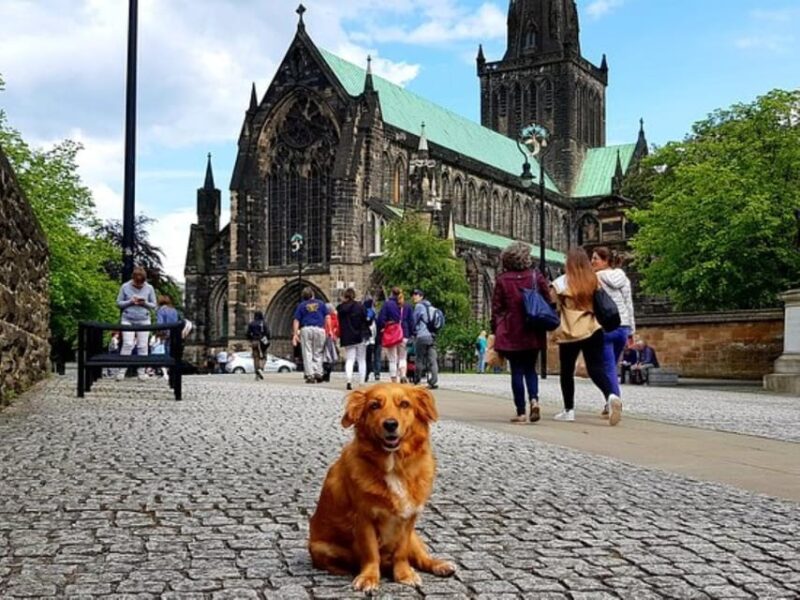 Glasgow Gander Walking Tour - Booking Your Tour