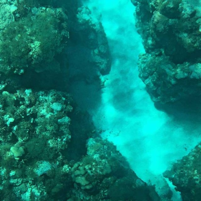 Glass Bottom Boat Ride in Trincomalee - Inclusions and Covered Amenities