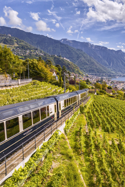 Goldenpass Express: Scenic Train From Montreux to Spiez - Amenities Onboard