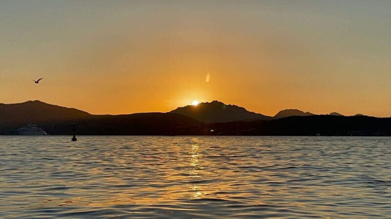 Golfo Aranci: Sunset Dolphin Kayak Tour With Aperitif - Participant Information and Restrictions
