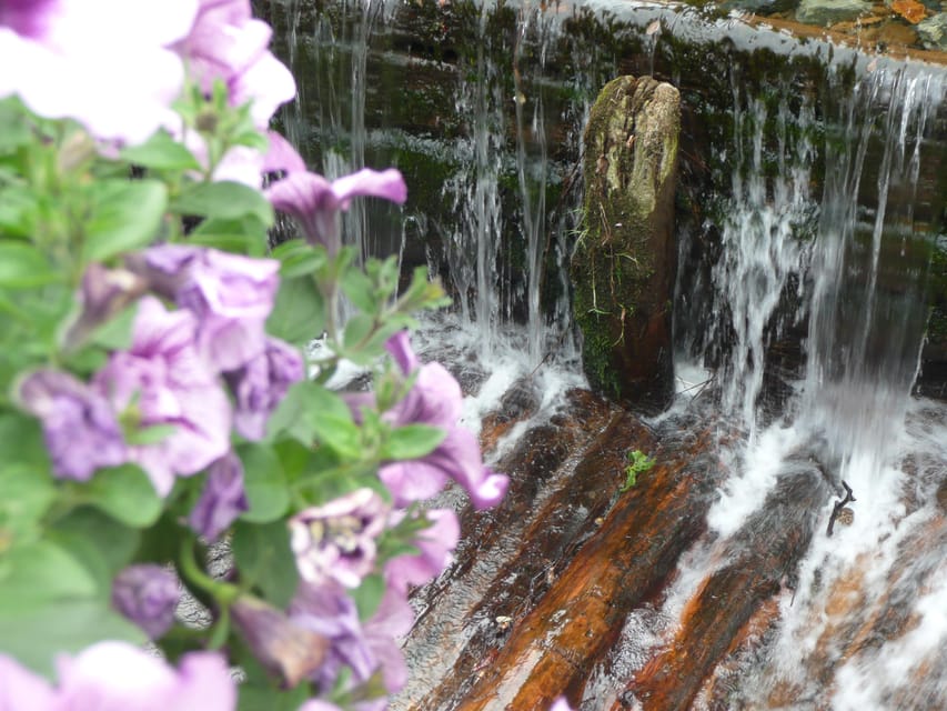 Goslar: Of Water and Ore - Goslar by the River - Leather Production History