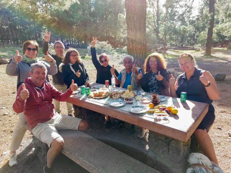 Gran Canaria 7 Highlights Small Group Tour With Tapas Picnic - Transportation and Logistics