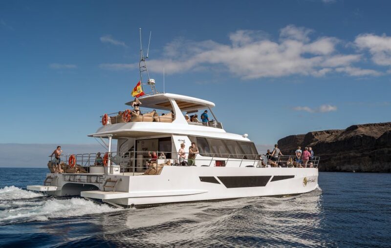 Gran Canaria: Afternoon Catamaran Cruise With Food & Drink - All-Inclusive Buffet Meal