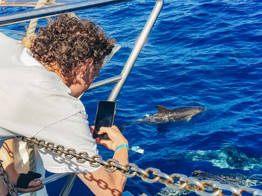 Gran Canaria: Catamaran Dolphin Watch Cruise With Snorkeling - Suitability and Restrictions